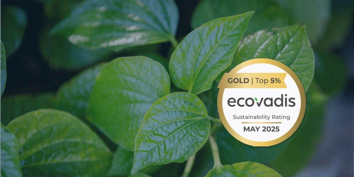 EcoVadis : Electrolux Professional Group décroche l’or