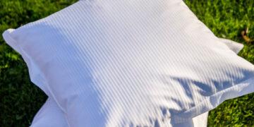 Dibella renforce sa présence en France grâce à un partenariat stratégique avec Deren