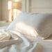 Punaises de lit : la vapeur haute température, un allié de la filière textile